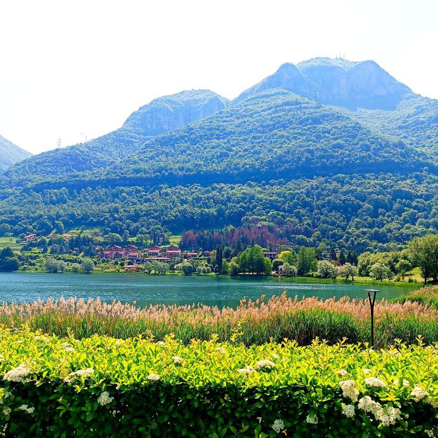 Casa Vacanze Alessandro Spinone Al Lago Екстериор снимка